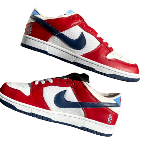 Standing before the Supreme Court