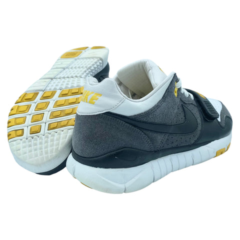 Nike Trainer Dunk Low LIVESTRONG 2009