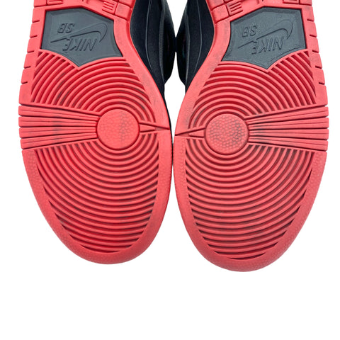 Nike SB Dunk High SPOT Gasparilla 2016