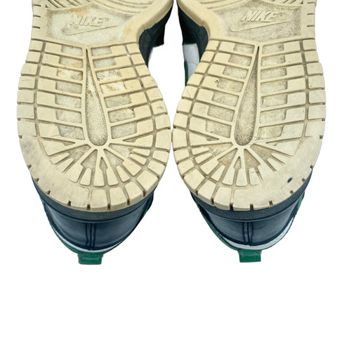 Nike Dunk High "Un-Heineken" 2004