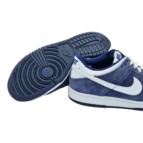 Nike Dunk Low GS Binary Blue