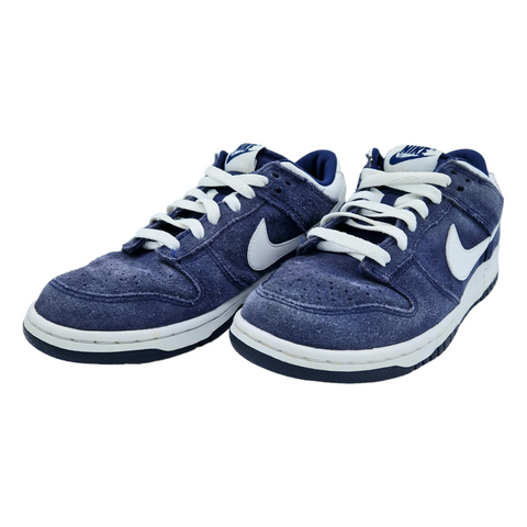 Nike Dunk Low GS Binary Blue