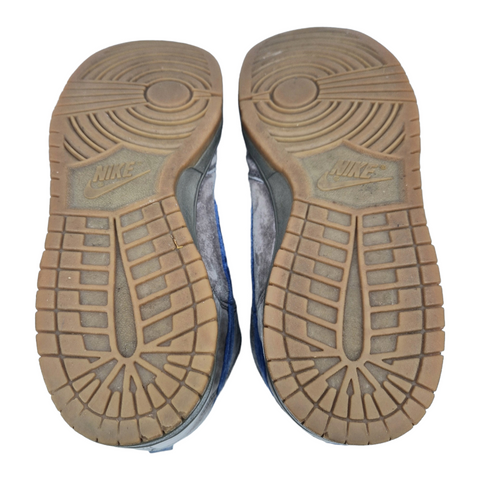 Nike SB Dunk High Iron 2003