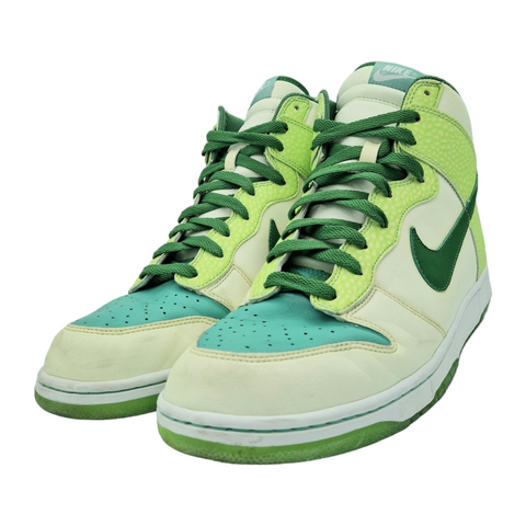 Nike Dunk High Glow in the Dark 2 2007
