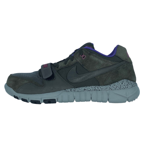 Nike Trainer Dunk Low Grey Varsity Purple