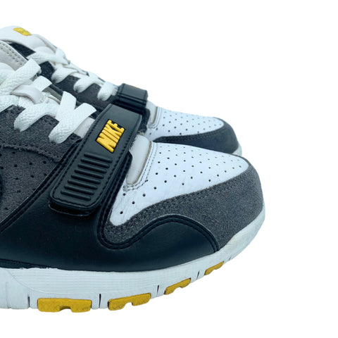 Nike Trainer Dunk Low LIVESTRONG 2009