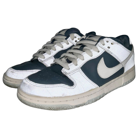 Nike Dunk Low Pro W Storm Grey Antarctic 3M 2003