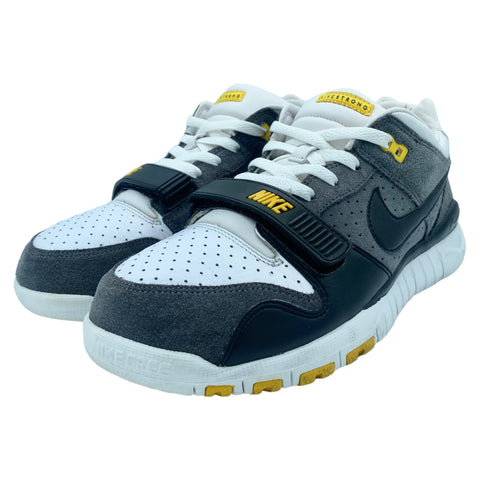 Nike Trainer Dunk Low LIVESTRONG 2009